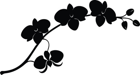 Obraz premium Black Orchid Branch Silhouette on White Backdrop, Elegant Flower