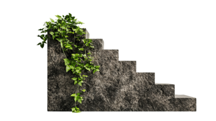 Png of A natural-themed staircase with lush green ivy cascading down the textured stone steps, blending nature and architecture.