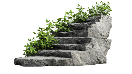 Png of A serene staircase made of natural stone, featuring lush green plants growing through the gaps, symbolizing harmony with nature.