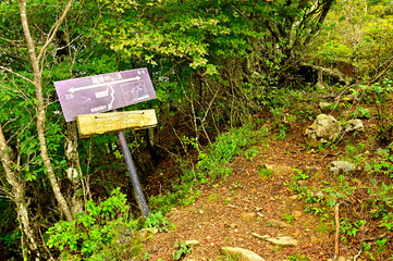 御坂山地の峠道　鍵掛峠
