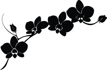 Obraz premium Elegant Orchid Flower Branch Silhouette on White, Floral Design Element