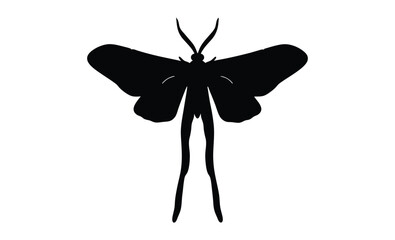 Moth silhouette vector, Black moth icon, Insect graphic illustration, Moth on white background
