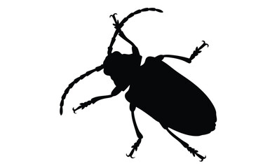 Beetle silhouette, Insect icon design, Black beetle graphic, Bug illustration on white background