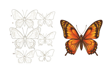 Obraz premium Radiant butterfly designs capturing nature’s vibrant colors