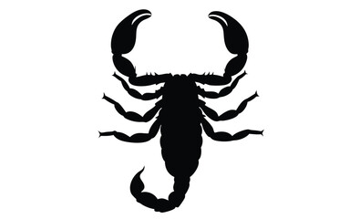 Scorpion silhouette vector, Walking scorpion icon, Insect illustration, Scorpion on white background