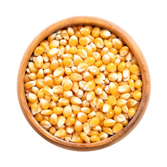 Unpopped popcorn kernels in wooden bowl. Seeds of Zea mays variety everta, rounded at the top, which expand and puffs up, when heated. Snack food, sometimes sold as pearls, nonpareils, and old maids.