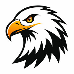 american bald eagle
