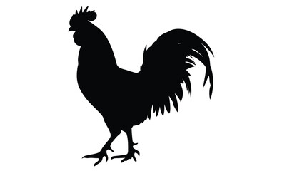 Rooster silhouette, Standing bird vector, Farm animal icon, Rooster on white background