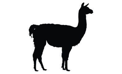 Alpaca silhouette, Farm animal vector, Wooly animal icon, Alpaca illustration