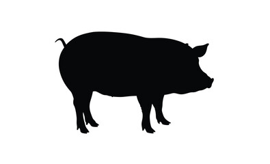 Pig silhouette, Side view pig vector, Farm animal icon, Pig illustration on white background