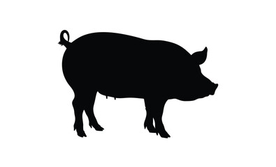 Pig silhouette, Side view pig vector, Farm animal icon, Pig illustration on white background