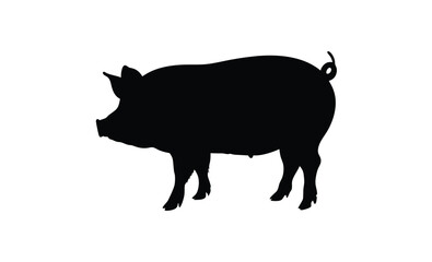 Pig silhouette, Side view pig vector, Farm animal icon, Pig illustration on white background