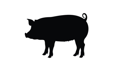 Pig silhouette, Side view pig vector, Farm animal icon, Pig illustration on white background