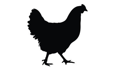 Chicken silhouette, Baby chick vector, Farm bird icon, Chicken on white background