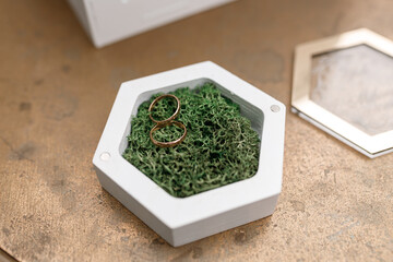 This is an Elegant Hexagonal Jewelry Box that features a beautiful Green Moss Display