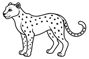 Fototapeta premium Graceful Cheetah Vector