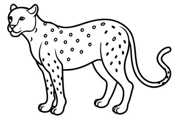 Fototapeta premium Graceful Cheetah Vector