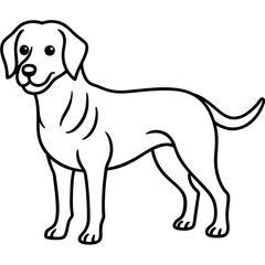 Abstract Dog Line Drawing