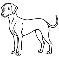 Abstract Dog Line Drawing