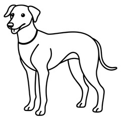 Abstract Dog Line Drawing