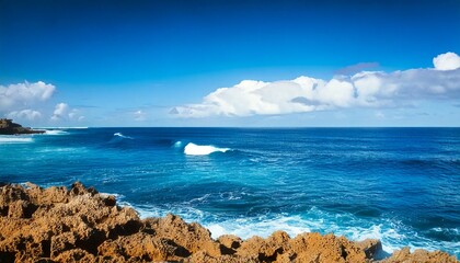 Beautiful tropical beach with palm trees, sunset beach seascape, design template for travel banner.