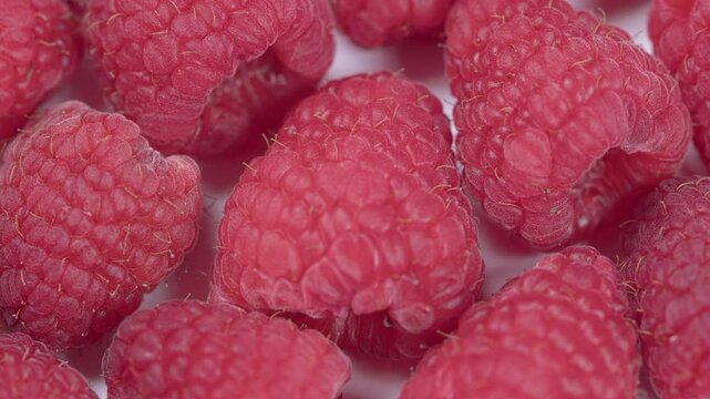 Fresh Red Raspberry Fruits Drying Out. Shriveling And Decomposing As Flies And Gnats Swarm Around. Time lapse.