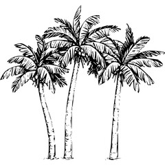 Obraz premium palm tree silhouette