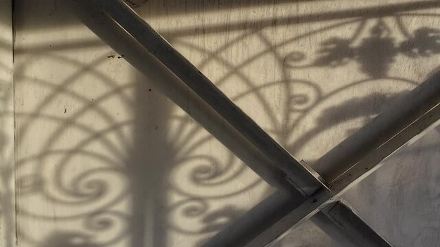 beautiful shadows on the wall. openwork shadows. Sunset in the city. Long shadows of iron grills and trees on white wall, Natural shadows overlay on white texture of weathered wall background.