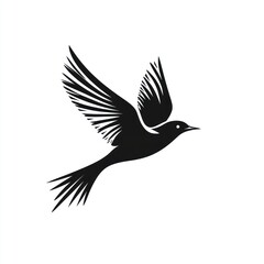 Obraz premium Soaring Bird Silhouette