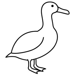 Albatross Flight in Simple Line Art