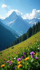Fototapeta premium Steep slopes, wildflowers, distant mountain range, rock, valley, spring