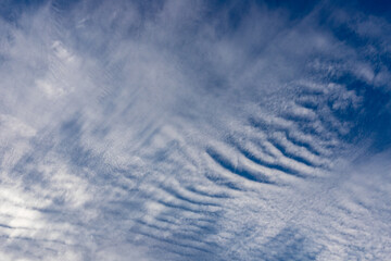 White clouds in the sky at dusk in summer