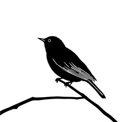 Black and white vector silhouette of a bird on white background
