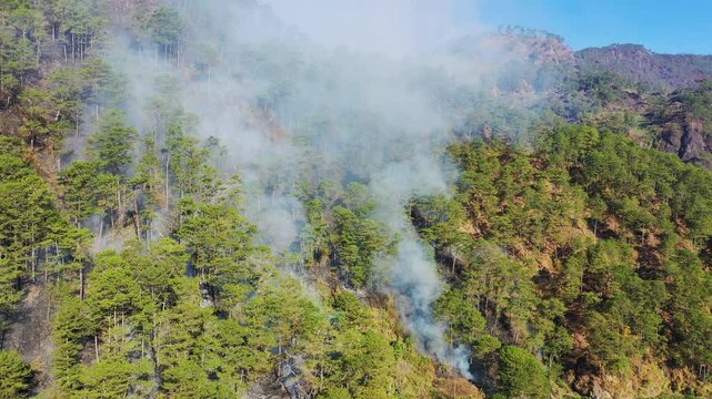 The mountainside consumed by flames, in Asia, in the Philippines, in Ifugao, in Luzon, towards Banaue, Bontoc and Sagada, in summer, on a sunny day.&nbsp;