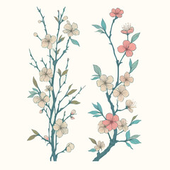 Set of outline sakura, doodle floral. Hand drawn spring Botanical drawing. Detailed line art illustration. Simple Stylized Art flowers. Elegant Black and White Cherry blossom branch.