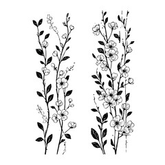 Set of outline sakura, doodle floral. Hand drawn spring Botanical drawing. Detailed line art illustration. Simple Stylized Art flowers. Elegant Black and White Cherry blossom branch.
