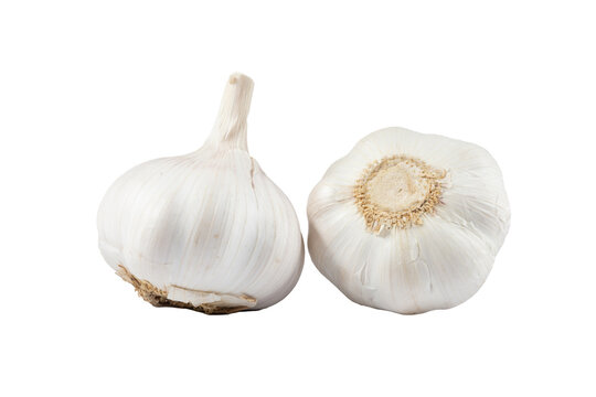 The garlic isolate on white background.