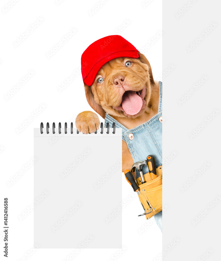 Poster Happy Mastiff puppy wearing red cap and denim overalls with tool belt shows empty list from behind blank white banner. Isolated on white background