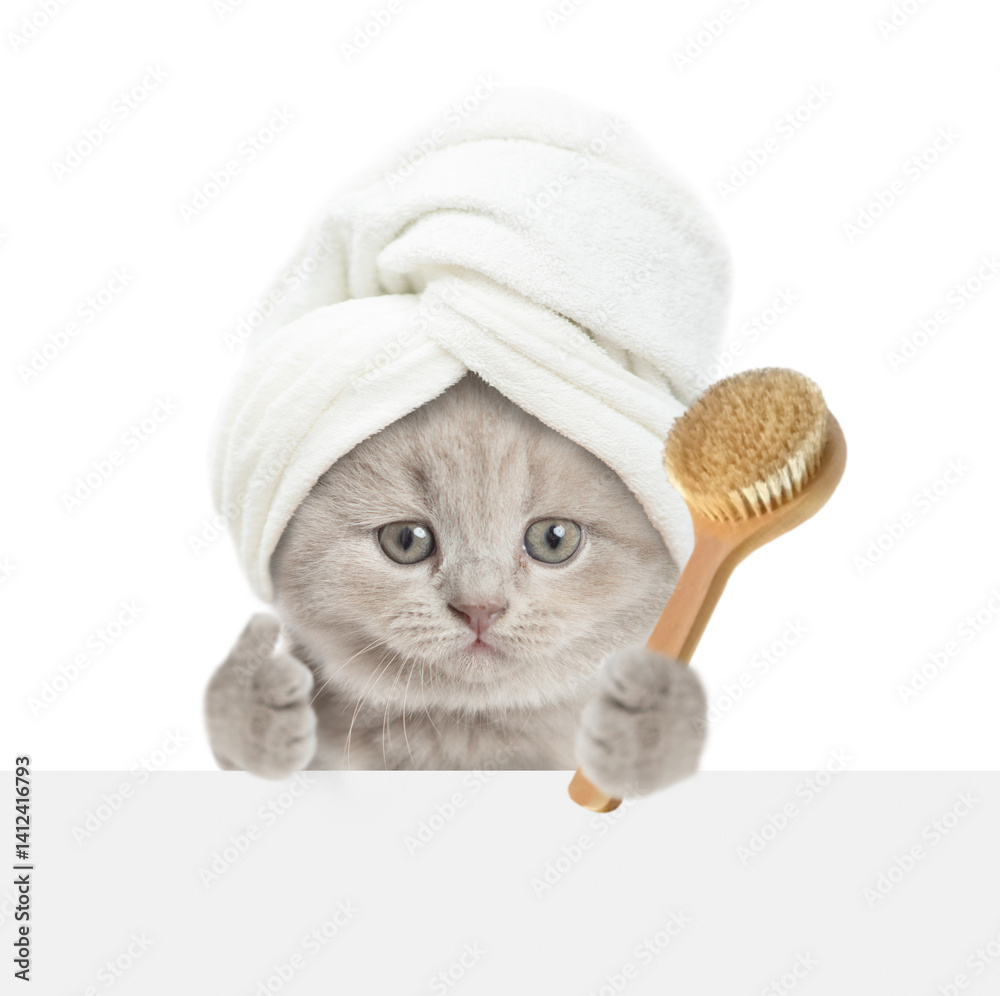 Poster cute kitten with towel on it head looks above blank white banner and holds shower brush and shows th