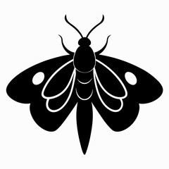 Bold Moth Silhouette Vector Graphic