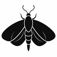 Bold Moth Silhouette Vector Graphic