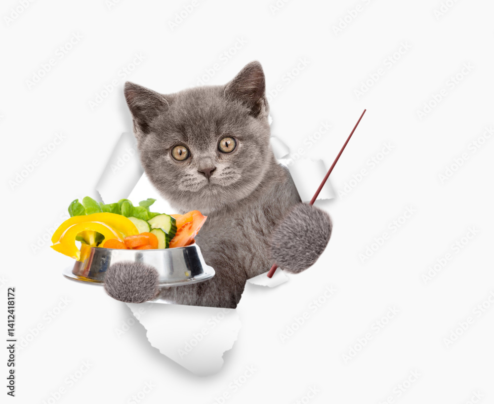 Aufkleber Funny kitten holds the bowl of vegetables, looks through the hole in white paper and points away on empty space