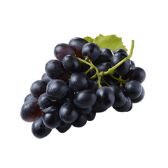 Fototapeta premium A bunch of fresh black grapes with water droplets on a black background