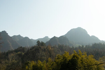 Beautiful nature photography of landscape morning fog on top of mountain with tree green. View...