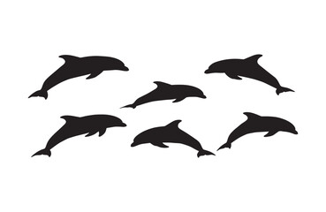 Fototapeta premium Ocean beauty displayed through diverse dolphin forms