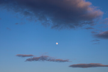 Tranquil evening sky in Ukraine. Against a clear blue backdrop, a bright first-quarter moon is visible, surrounded by a few scattered dark gray clouds with pinkish hues from the already past sunset.