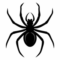 Clean and Bold Spider Silhouette