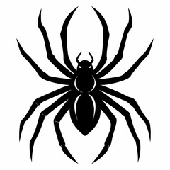 Clean and Bold Spider Silhouette