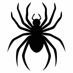 Obraz premium Clean and Bold Spider Silhouette