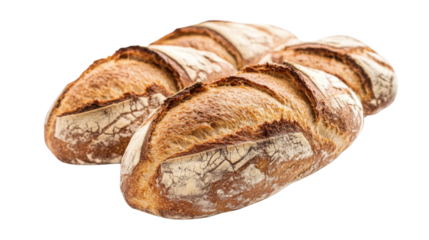 bread loaves on an industrial baking conveyor on white background